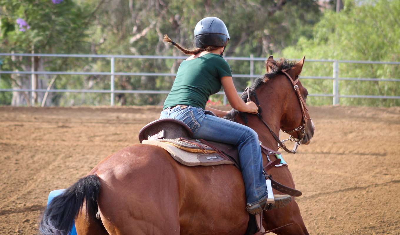 Barrel Racing Horses image