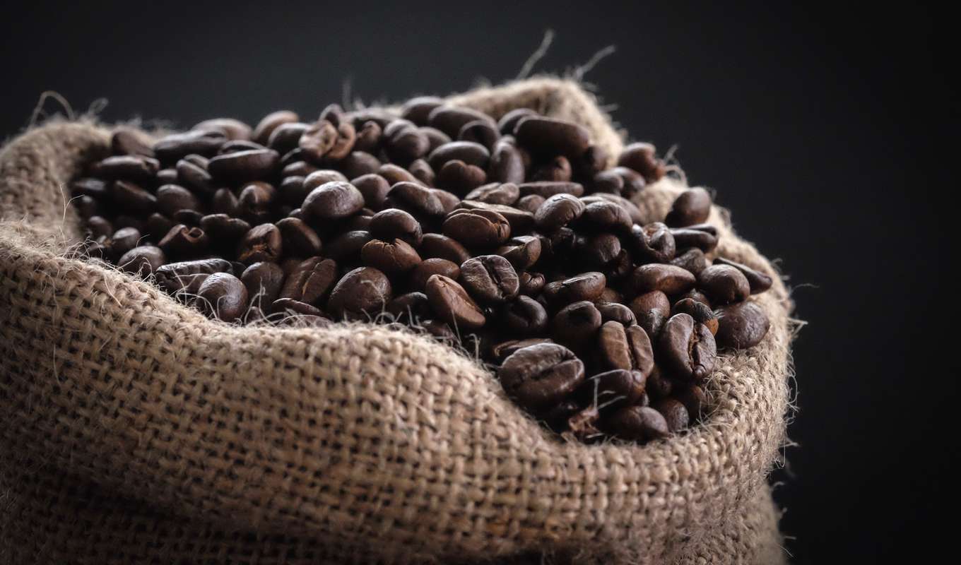 Ecommerce Coffee Roaster: 300% Sales in 3 weeks image