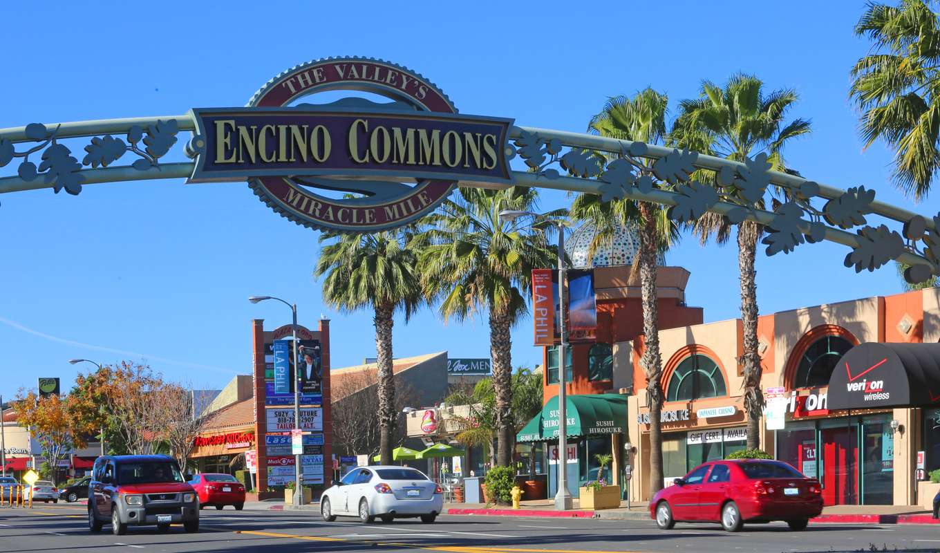 WordPress Design Encino image