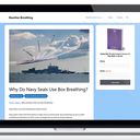 Baseline Breathing Website Portfolio Item
