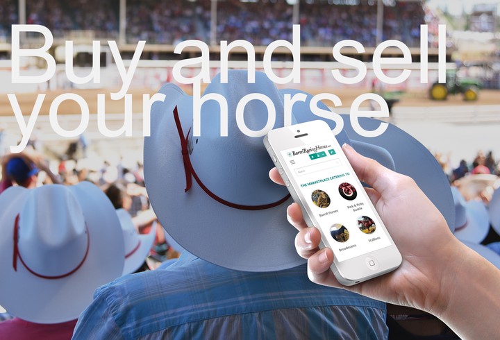 Barrel Racing Horses