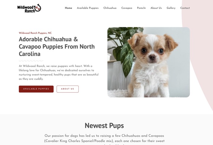 Wildwood Ranch Puppies